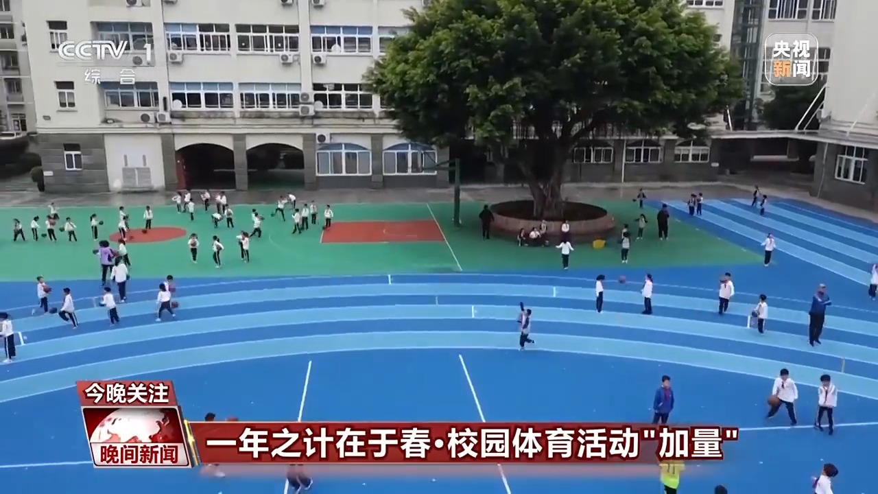 费迪南德的